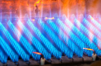 Falcutt gas fired boilers